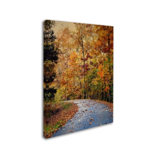 Jai Johnson 'Autumn Splash' Canvas Art,35x47